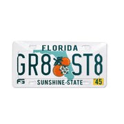 Anti Photo Radar Clear License Plate Cover Privacy Shield