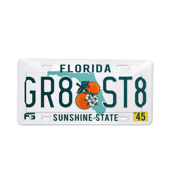 Anti Photo Radar Clear License Plate Cover Privacy Shield